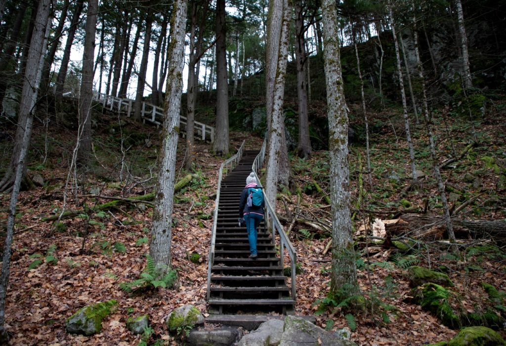 track and tower trail algonquin park